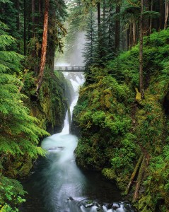 Hoh River Cascading Through Rainforest Olympic National Park, Washington, USA
